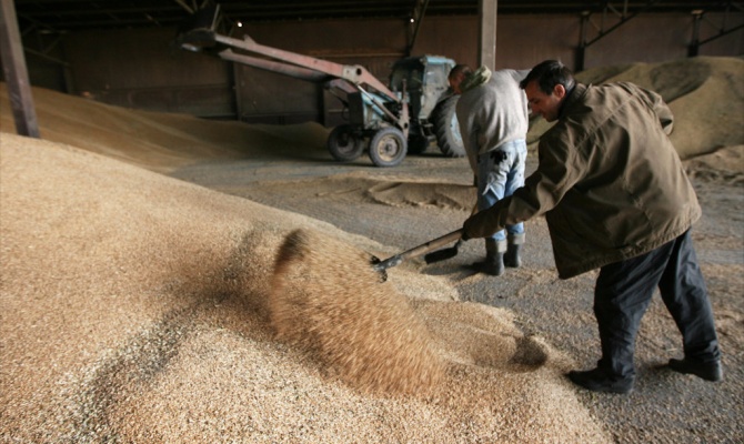 В Оренбуржье поймали воров, укравших 10 тонн зерна